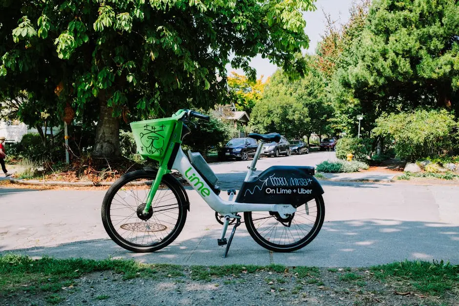 ηλεκτρικά ποδήλατα